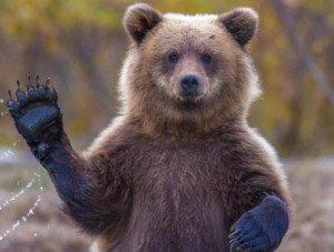 55e01961d7f3edc3cfac7c5769062097